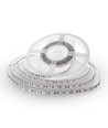 5m 10,8W/m RGB+WW LED strip - 60 LED pr. meter