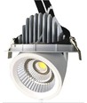 30W Ø16,5cm Downlight - Hul: Ø15,5 cm, Mål: Ø16,5 cm, 3100lm, Justerbar vinkel