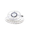 5m 11W/m LED strip - 24V DC, IP20, 150lm/W, 168 LED pr. meter