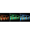 5 meter 12W/m RGB+WW LED strip - 24V DC, IP20, 60 LED pr. meter