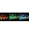 5m 12W/m RGB+WW LED strip - 12V, IP65, 60 LED pr. meter