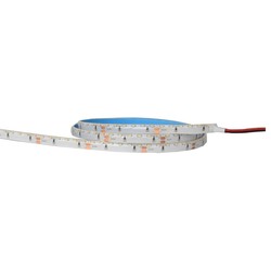 Enkeltfarvet LED strip 24V LEDlife 11W/m sidelys LED strip - 5m, IP65, 24V, 120 LED pr. meter