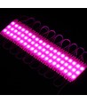 1,1W pr. stk Vandtæt pink LED modul - 12V DC, IP66, Perfekt til skilte og specialløsninger