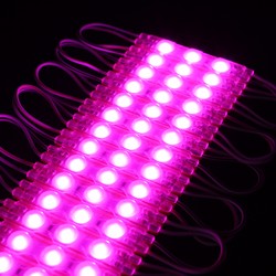 Enkeltfarvet LED strip 12V/24V IP68 (Vandtæt) Vandtæt pink LED modul - 1,1W pr. stk, IP66, 12V, Perfekt til skilte og specialløsninger