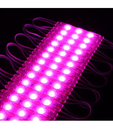 Vandtæt pink LED modul - 1,1W pr. stk, IP66, 12V, Perfekt til skilte og specialløsninger