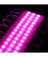 1,1W pr. stk Vandtæt pink LED modul - 12V DC, IP66, Perfekt til skilte og specialløsninger