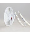 10m 12W/m LED strip RA97 - 24V DC, IP20, 120 LED pr. meter