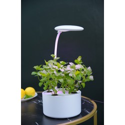 Hydroponi LEDlife hydroponisk mini køkkenhave - Hvid, inkl. vækstlys, 6 pladser, indbygget timer, 1,8L vandtank