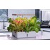 LEDlife hydroponisk køkkenhave - Hvid eller sort, inkl. vækstlys, 12 pladser, timer, 4L vandtank
