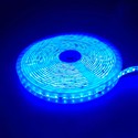 Blå 10W/m LED strip - 5m, 120 LED pr. meter, 24V, IP65