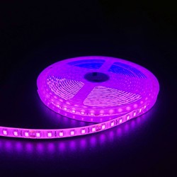 Enkeltfarvet LED strip 24V Pink 10W/m LED strip - 5m, 120 LED pr. meter, 24V, IP65