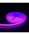 5m 10W/m Pink LED strip - 24V DC, IP65, 120 LED pr. meter