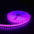 Pink 10W/m LED strip - 5m, 120 LED pr. meter, 24V, IP65