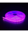 5m 10W/m Pink LED strip - 24V DC, IP65, 120 LED pr. meter
