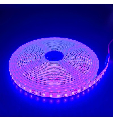 5m 10W/m Lilla LED strip - 24V DC, IP65, 120 LED pr. meter