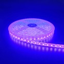 Lilla 10W/m LED strip - 5m, 120 LED pr. meter, 24V, IP65