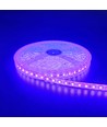 5m 10W/m Lilla LED strip - 24V DC, IP65, 120 LED pr. meter