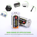 Alkaline Batteri LR20D 1,5V 2-pak