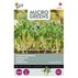 Outlet: Microgreens - Borago, almindelig hjulkrone