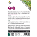 Outlet: Microgreens - Borago, almindelig hjulkrone