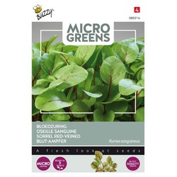 Frø Outlet: Microgreens - Rødbladet syre, 0,5g