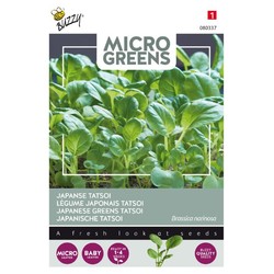 Frø Microgreens - Japansk grøn Tatsoi