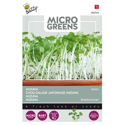Frø Microgreens - Grøn Mizuna