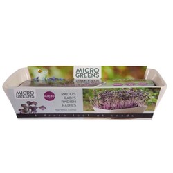 Frø Outlet: Microgreens starterkit - Radise Daikon Rød