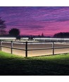 5m 10W/m vandtæt LED strip (Type X-2) - 230V, IP67, 1300lm/m, Kan klippes for hver 10cm, op til 100m