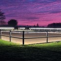 5 m. vandtæt Ridebane Neon COB strip - 230V, IP67, 288 LED, 11,5W/m, kan klippes for hver 10cm