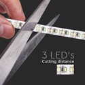 18W LED Stribelys - 6000K, IP20, 5m/rulle