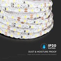 60 LED stribelys 5W/m S form - 6400K, 12V, IP20, 5m/rulle