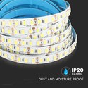 120 LED Stripslys 20W/m - 6400K, høj lumen, IP20, 5m/rulle