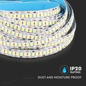 240 LED Stribe Lys 20W/m - 6000K, Høj Lumen, IP20, 5m/rulle