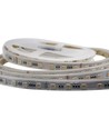 5m 24W/m RGB+CCT LED strip - 24V DC, RGB+2700-6500K, IP65
