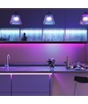 5m 24W/m RGB+CCT LED strip - 24V DC, RGB+2700-6500K, IP65