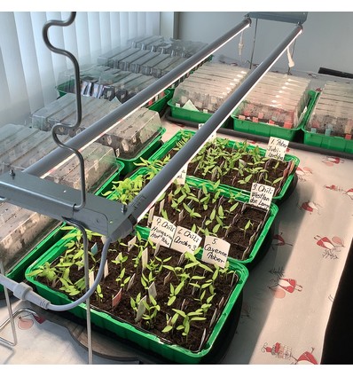 LEDlife Pro-Grow 2.0 vækst sæt - 2 x 90 cm, 30W LED, fuldt spektrum