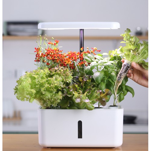 LEDlife hydroponisk køkkenhave - Hvid, inkl. vækstlys, 10 pladser, timer, 2,8L vandtank