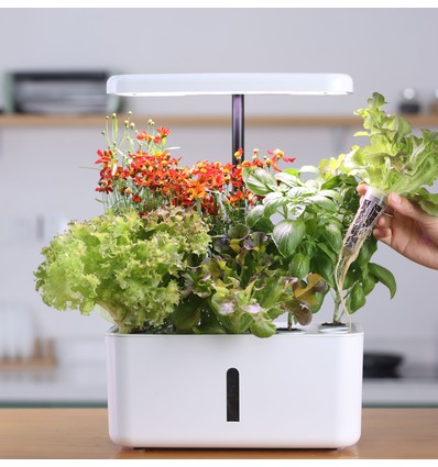 LEDlife hydroponisk køkkenhave - Hvid, inkl. vækstlys, 10 pladser, timer, 2,8L vandtank