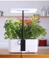 LEDlife hydroponisk køkkenhave - Hvid, inkl. vækstlys, 10 pladser, timer, 2,8L vandtank