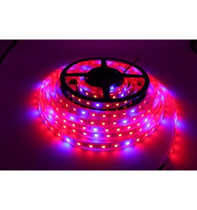8,5W/m stænktæt vækst LED strip - 5m, 60 LED pr. meter, 24V DC, IP65
