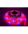 8,5W/m stænktæt vækst LED strip - 5m, 60 LED pr. meter, 24V DC, IP65