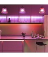 5m 11W/m rød/grøn/blå/gul LED strip - 60 LED pr. meter, vælg kulør