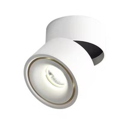 Lamper Dæmpbar LED loftspot RA98 - 10W, hvid, justerbart, til påbygning