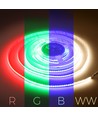 5m 20W/m RGB+WW COB-LED strip - 24V DC, IP20, 784 LED pr. meter, COB LED