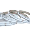 5m 20W/m RGB+WW COB-LED strip - 24V DC, IP20, 784 LED pr. meter, COB LED