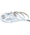 5m 20W/m RGB+WW COB-LED strip - 24V DC, IP20, 784 LED pr. meter, COB LED