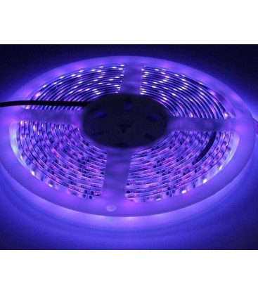 UV 400 nm 10W/m 24V LED strip - 5m, IP20, 120 LED pr. meter