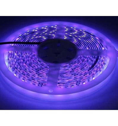5m 10W/m UV 400 nm LED strip - 24V DC, IP20, 120 LED pr. meter