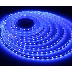 Enkeltfarvet LED strip Blå 450 nm 14,4W/m 24V LED strip - 5m, IP20, 60 LED pr. meter